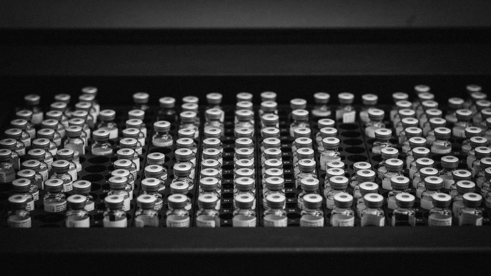 Rows of capped glass vials in an autosampler tray inside an analytical instrument, in black and white